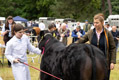 Malton Show 2024